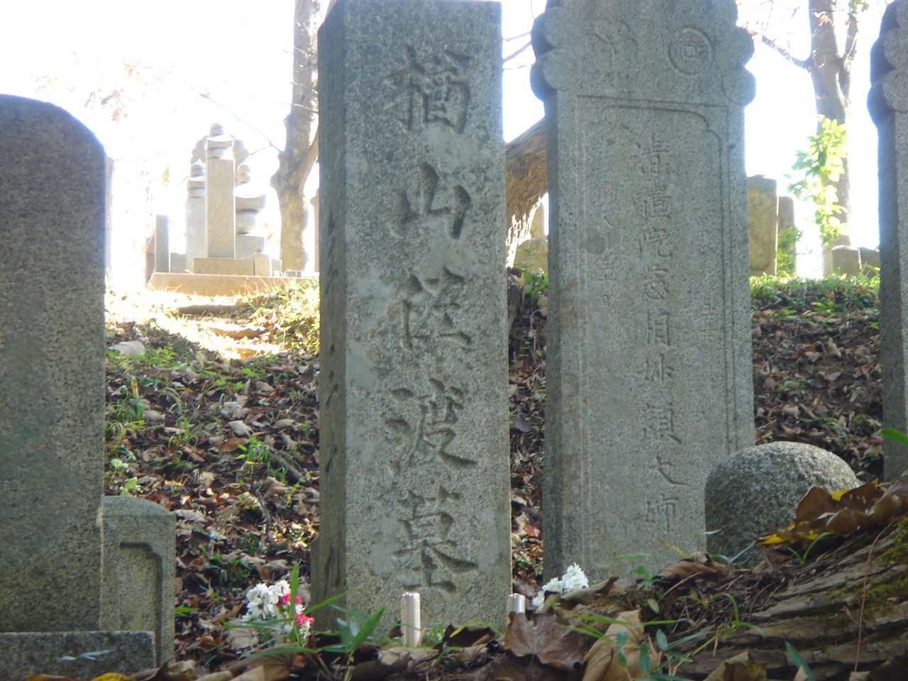 楢山佐渡の墓(聖寿禅寺)